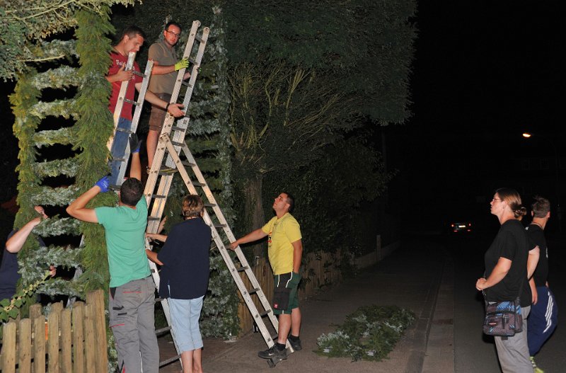 Binden am Donnerstag 100.JPG